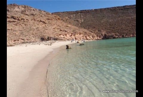 Combine Baja experiences