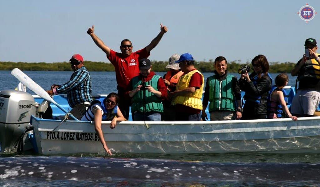 2. Wildlife & Traditions